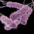 SalMonella